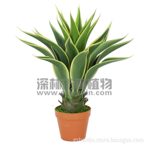 Newest Hotsell artificial plant Mini Agave Americana